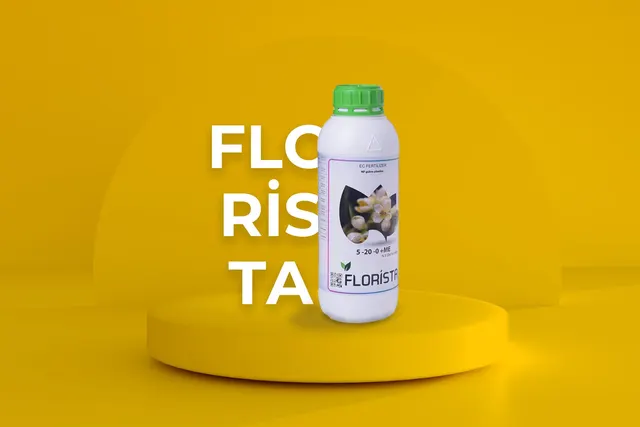 Florista