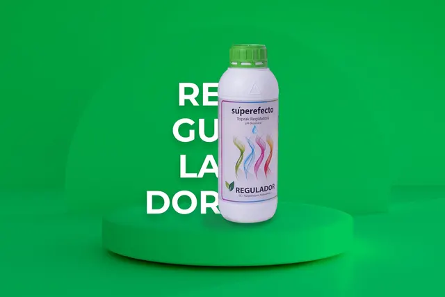 Regulador